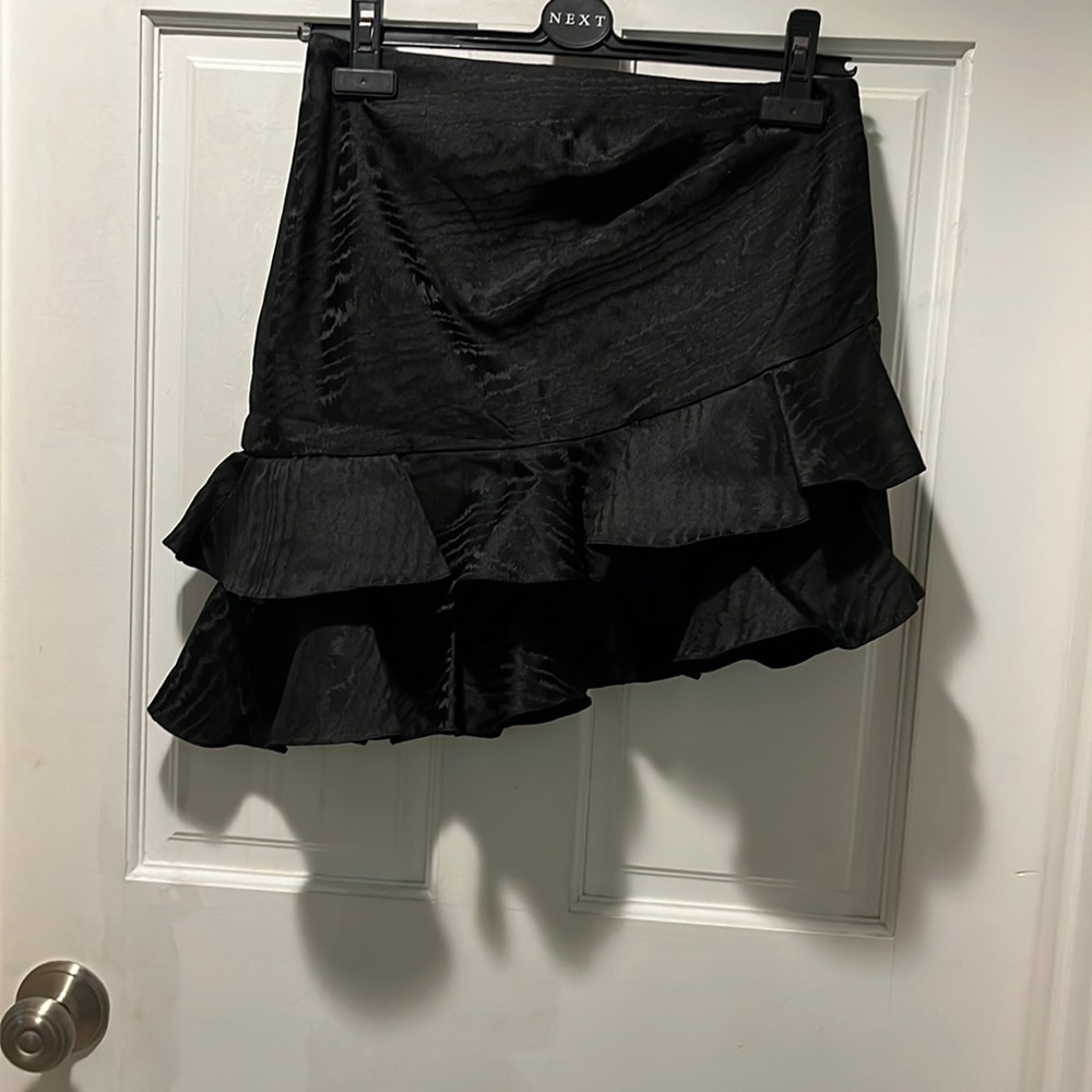 Zara Zebra Print Skirt